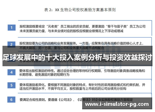 足球发展中的十大投入案例分析与投资效益探讨 足球发展中的十大投入案例分析与投资效益探讨